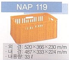 NAP 119