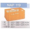 NAP 119