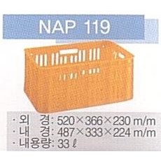 NAP 119